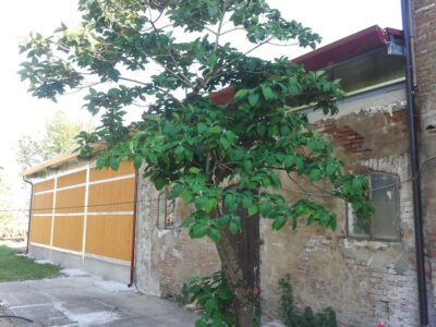 Struttura prefabbricata