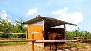 Paddock capannina